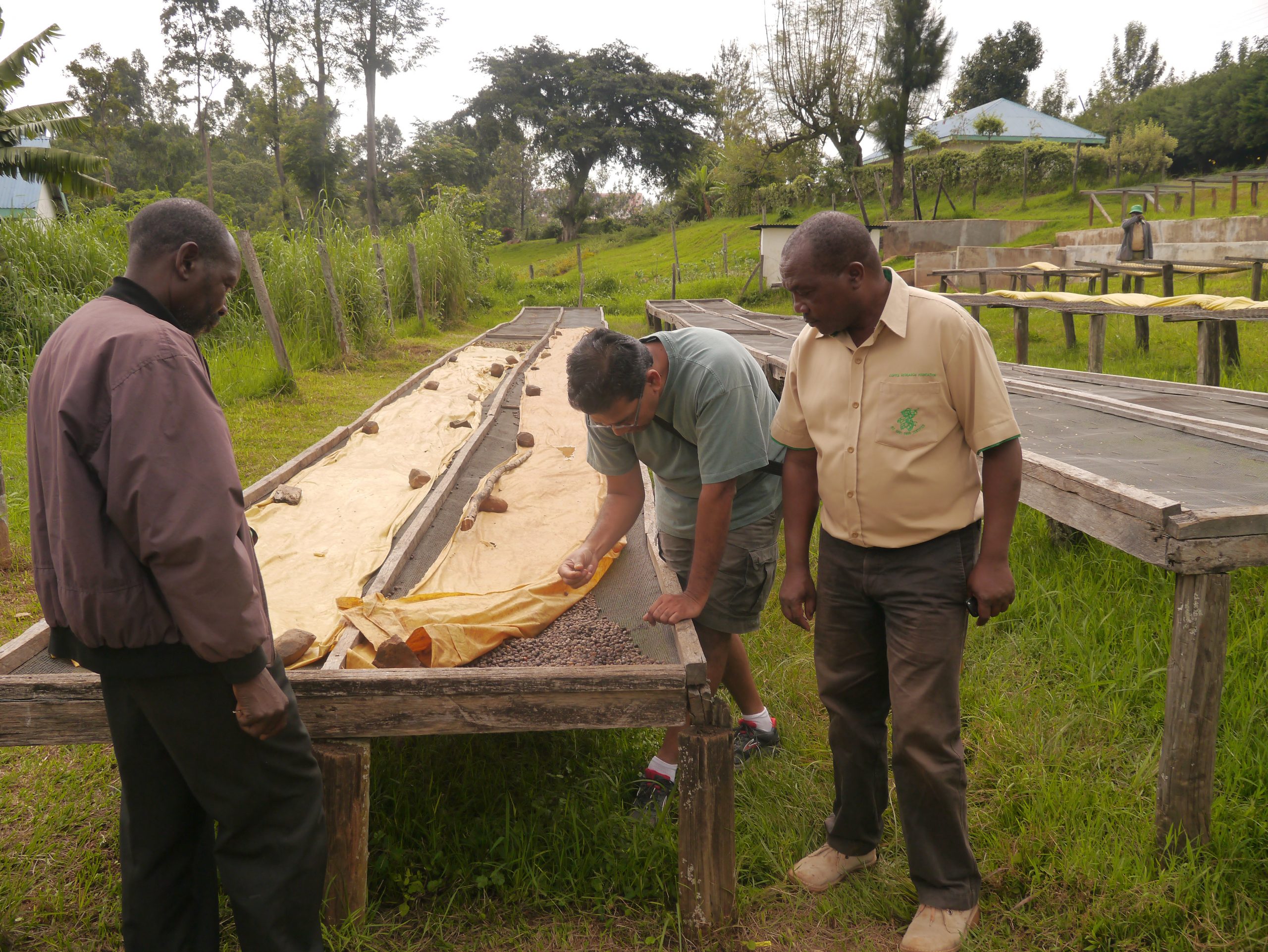 Kenyan Cooperative